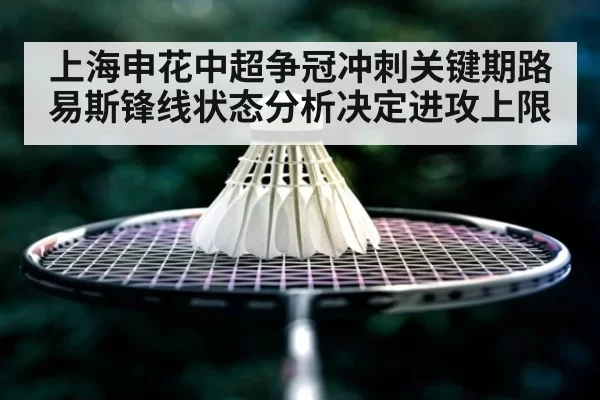 上海申花中超争冠冲刺关键期路易斯锋线状态分析决定进攻上限